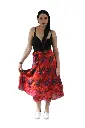 IMG_1025a.webp
